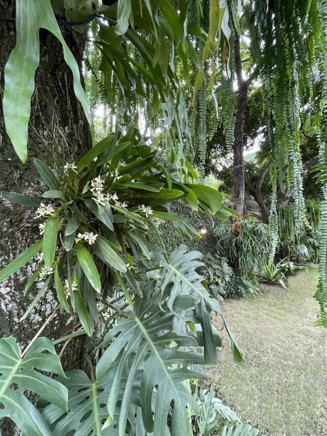 Iguanazu Bed & Breakfast Guayaquil Exterior photo